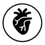 Cardiopulmonary performance