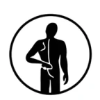 Healthy back