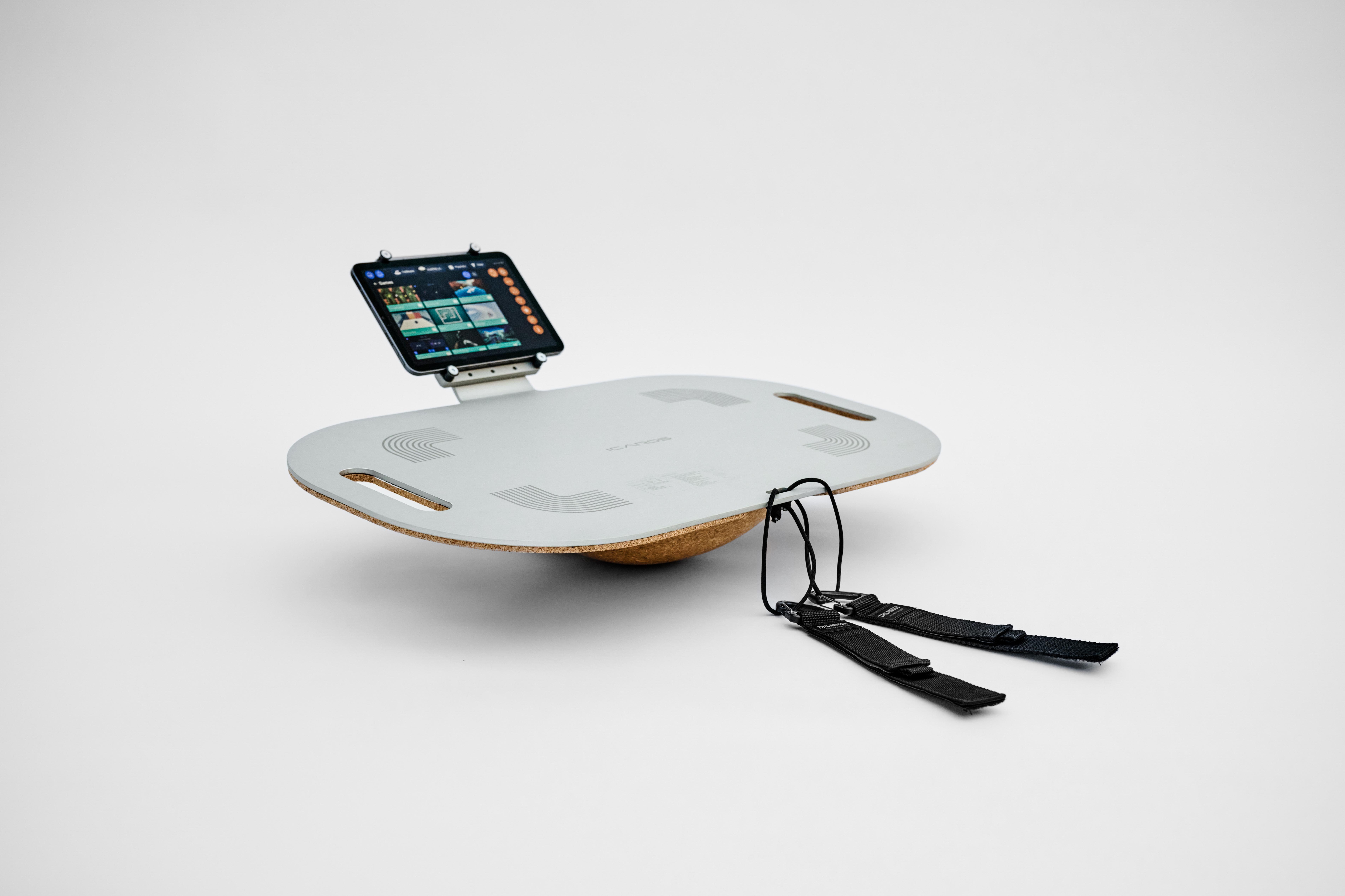 ICAROS I.S.T. Board Application 3